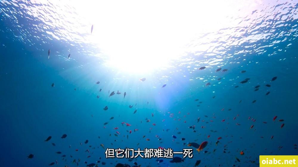 边亲边把手放衣服里剧照1